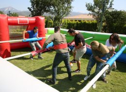Festival ve Şenlik Organizasyonu Canlı Langırt Kiralama