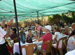 Piknik Etkinlikleri Organizasyonu Aile Pikniği İzmir Organizasyon