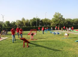 Bahçede Survivor Oyun Parkuruyla Doğum Günü Organizasyonu