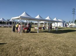Festival Organizasyonu