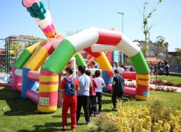 Festival Organizasyon