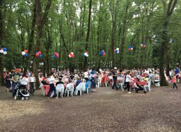 Balon Süsleme Şirket Piknik Organizasyonu İzmit