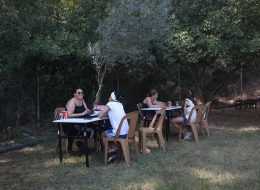 Falcı Kiralama Piknik Organizasyonu İzmir