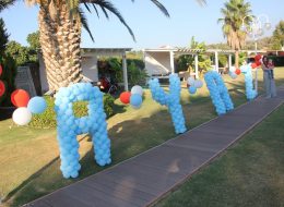 Özel Şekilli Balon Süslemeleri