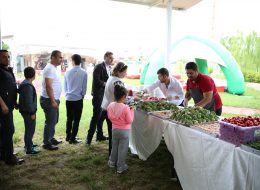 Piknik İkramları İzmir Piknik Organizasyon