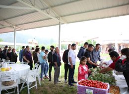 Piknik Organizasyonu İkramlık Temini İzmir