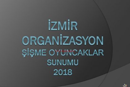 Ekran Alıntısı