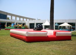 Kiralık Rodeo İzmir Şişme Oyuncak Temini