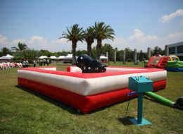 İzmir Rodeo Kiralama