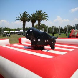 Şişme Rodeo Kiralama İzmir