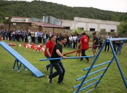 Survivor Oyun Parkuru Kiralama